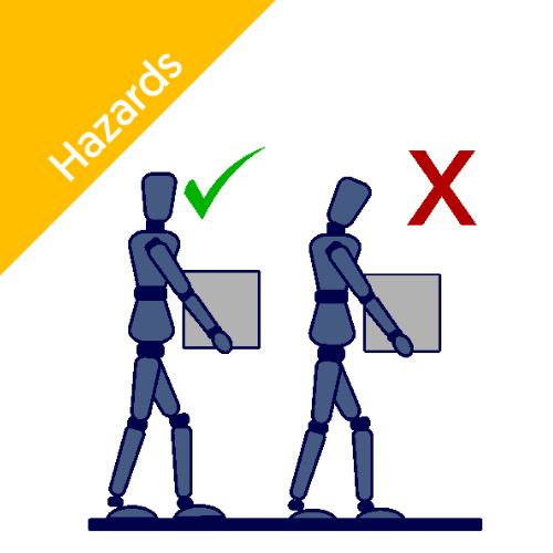 Manual Handling and Moving Training