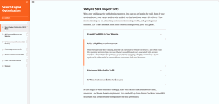 SEO Course Online Screenshot